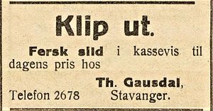 Annonse fra Th. Gausdal i Flekkefjord-Posten 23.01. 1919.jpg