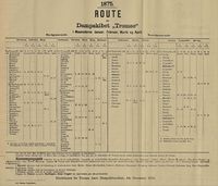 349. Annonse fra Tromsø Amts Dampskibsselskab i Tromsø Stiftstidende 17.12.1874.jpg