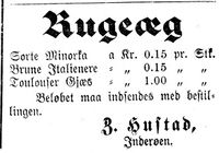 59. Annonse fra Z. Hustad i Indtrøndelagen 18.4.1900.jpg