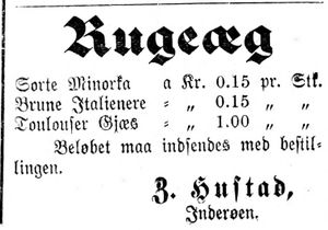 Annonse fra Z. Hustad i Indtrøndelagen 18.4.1900.jpg