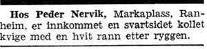 Annonse om en funnet kvige i Adresseavisen 8.10. 1942.jpg