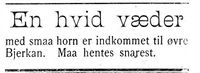 260. Annonse om en funnet vær i Indtrøndelagen 31.8. 1900.jpg