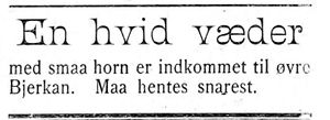 Annonse om en funnet vær i Indtrøndelagen 31.8. 1900.jpg