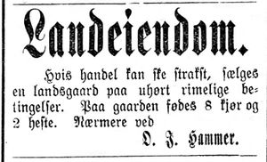Annonse om gard til salgs i Indtrøndelagen 18.4.1900.jpg