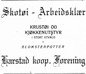 Annonsefra Harstad kooperative Forening i Dagens Nyheter 20. mars 1924.jpg