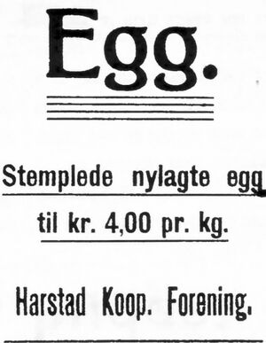 Annonsefra Harstad kooperative Forening i Dagens Nyheter juni 1924.jpg