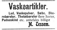 435. Annonsse II fra M. Tessem i Indtrøndelagen 16.11. 1900.jpg
