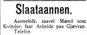 Annonsse etter onnefolk i Indtrøndelagen 20.6.1906.jpg