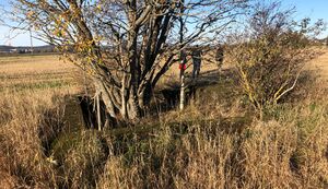 Antennehus fra sør.JPG