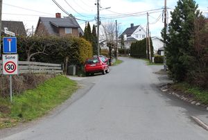 Anton Tschudis vei Bærum 2016.jpg