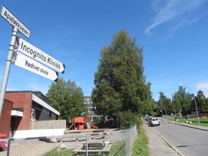 Apalløkkveien Oslo 2013.jpg