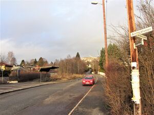 Arnebråtveien Oslo 2013.jpg