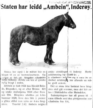 Artikkel om avlshingst i Nord-Trøndelag og Nordenfjeldsk Tidende 09.02.33.jpg