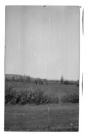 378. Artilleri i stilling - negativ - no-nb digifoto 20160415 00311 bldsa EYDE00363.jpg