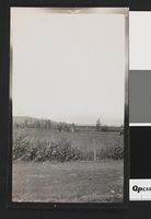 375. Artilleri i stilling - no-nb digifoto 20160415 00251 bldsa EYDE00106.jpg