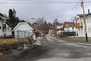 Asaveien Bærum 2016.jpg