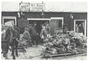 AuneBosekop.jpg