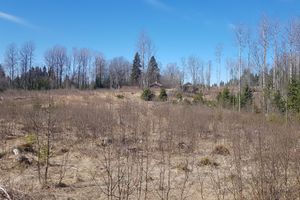 Aur nedre under Øiset øvre 2020.jpg