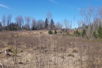 Aur nedre under Øiset øvre 2020.jpg