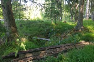 Aurtangen under Skinnarbøl hustufter Kongsvinger kommune 2020.jpg