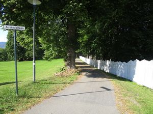 Austadalléen Drammen 2015.jpg