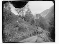 86. Av en skogsvei - NB MS G4 0612.jpg