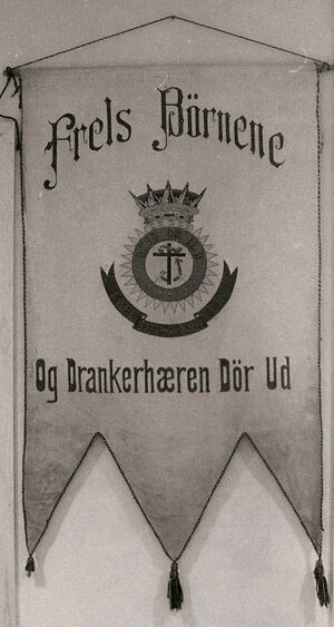 Avholdsfane Fra Hamar.jpg