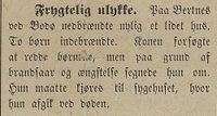 183. Avisklipp om brann på Bertnes ved Bodø i Harstad Tidende 03.12. 1900.jpg