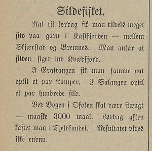 Avisklipp om sildefisket i Harstad Tidende 29.10. 1900.jpg