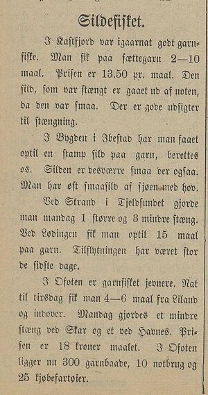 Avisklipp om sildefisket i Harstad Tidenede 25.10. 1900.jpg