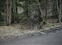 59. Avledningsgrøft fra Sukkabennek mot Nydammene syd for vegen.jpg