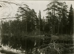 Båntjern, Oslo - Riksantikvaren-T046 02 0137.jpg