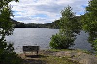 18. Bårsrudtjernet august 2020 (N0013).JPG