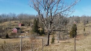 Båserød (Skien gnr 96).jpeg