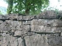 To av ringene til å tjore hester i, i den sydlige kirkegårdsmuren. Foto: Siri Johannessen (2016).