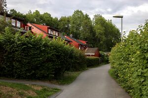 Bærum Blåveisstien 230704.jpg