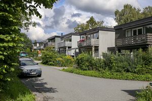 Bærum Blomsterkroken 230805.jpg