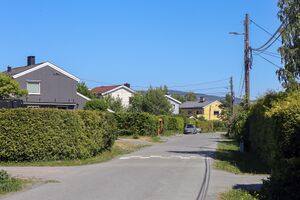 Bærum Ekeberglia 230608.jpg