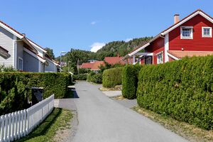 Bærum Fasanfaret 230626.jpg