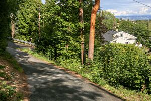 Bærum Marie Michelets vei 230801.jpg