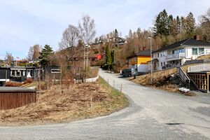 Bærum Røyskattlia 230427.jpg