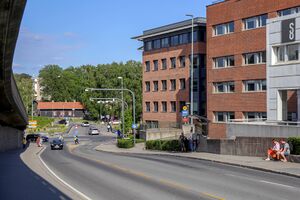 Bærum Strandveien 230613.jpg