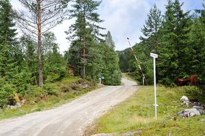 Bø, Årmotåsen-1.jpg