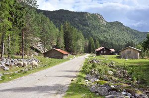 Bø, Årmotdalsvegen-1.jpg