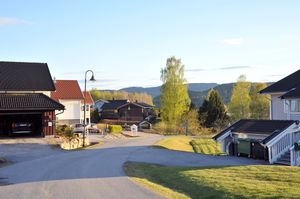 Bø, Åsenjordet-1.jpg