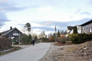 Bø, Øvre Borgvin-1.jpg