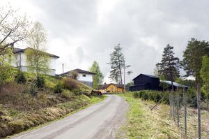 Bø, Breskhaugbakken-1.jpg