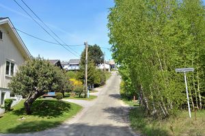 Bø, Haugerudbakken-1.jpg