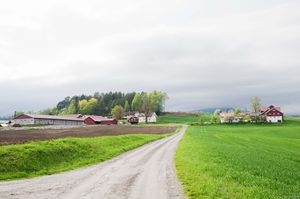 Bø, Hauglandvegen-1.jpg