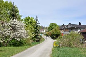 Bø, Haugvegen-1.jpg